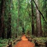 достопримечательности Калифорнии